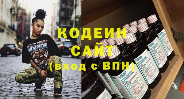 индика Баксан