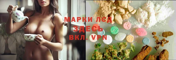 индика Баксан