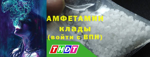 прущие грибы Балахна