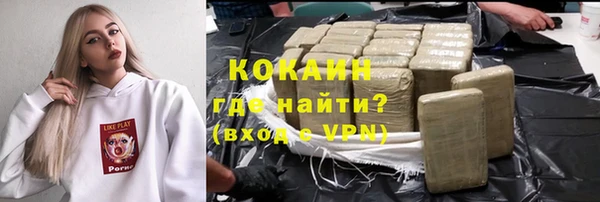 индика Баксан