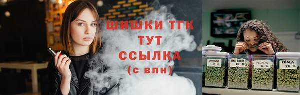 прущие грибы Балахна