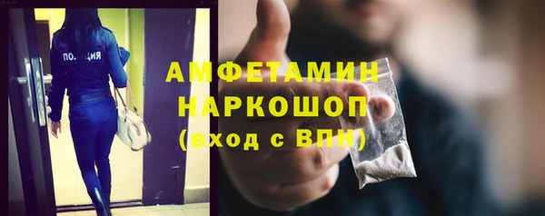 прущие грибы Балахна
