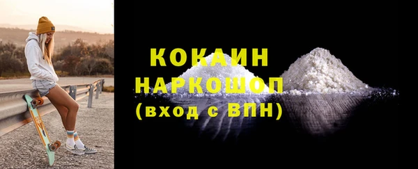 прущие грибы Балахна