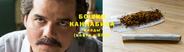 прущие грибы Балахна