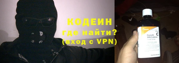 прущие грибы Балахна