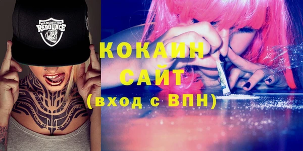 индика Баксан