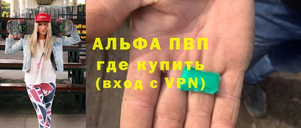 прущие грибы Балахна