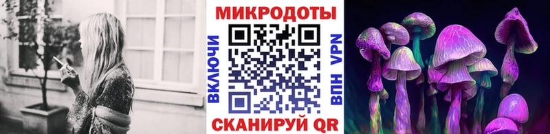Псилоцибиновые грибы Psilocybine cubensis  Кунгур 